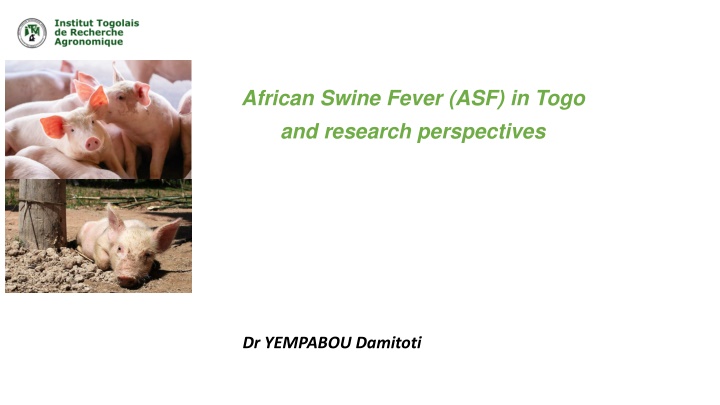 african swine fever asf in togo and research n.w