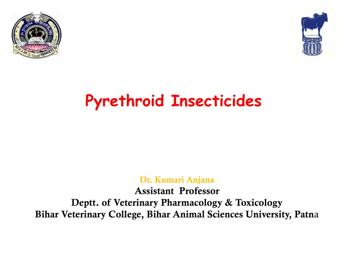 pyrethroid insecticides n.w