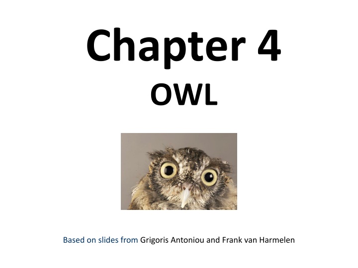 chapter 4 owl n.w