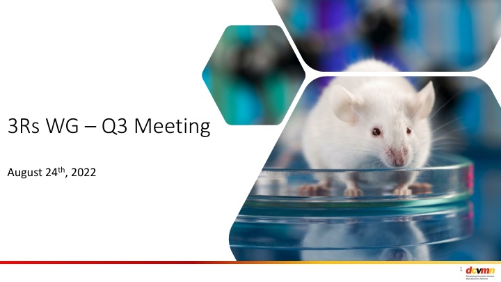3rs wg q3 meeting n.w