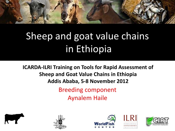 sheep and goat value chains in ethiopia n.w