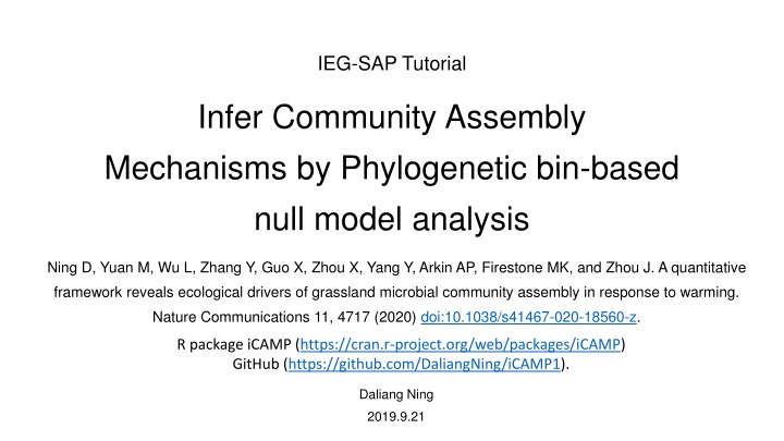 ieg sap tutorial n.w