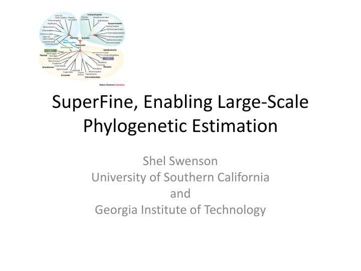 superfine enabling large scale phylogenetic n.w