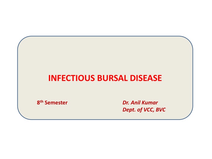 infectious bursal disease n.w