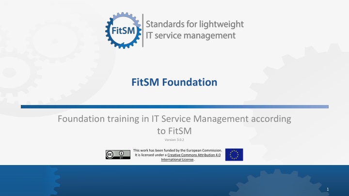 fitsm foundation n.w