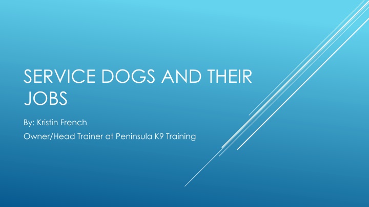 service dogs and their jobs n.w