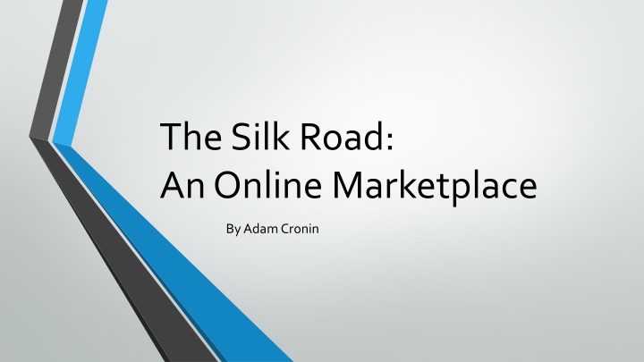 the silk road an online marketplace n.w