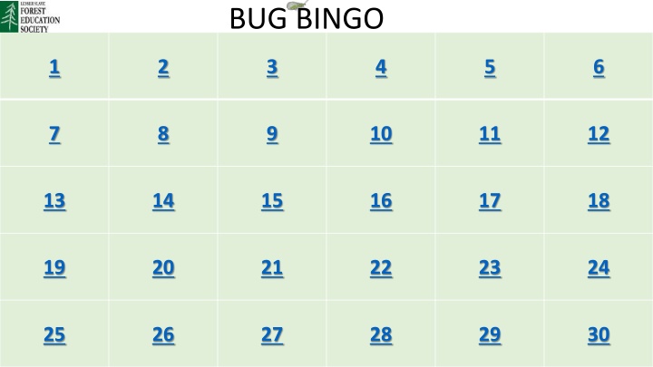 bug bingo n.w