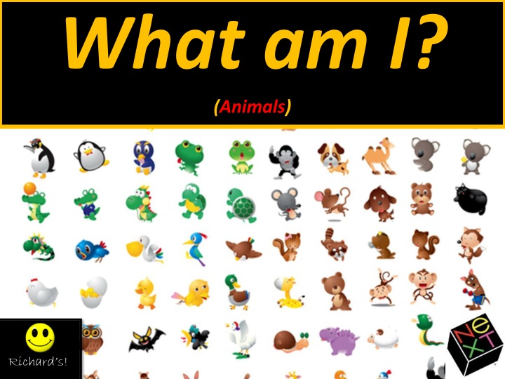 what am i animals n.w