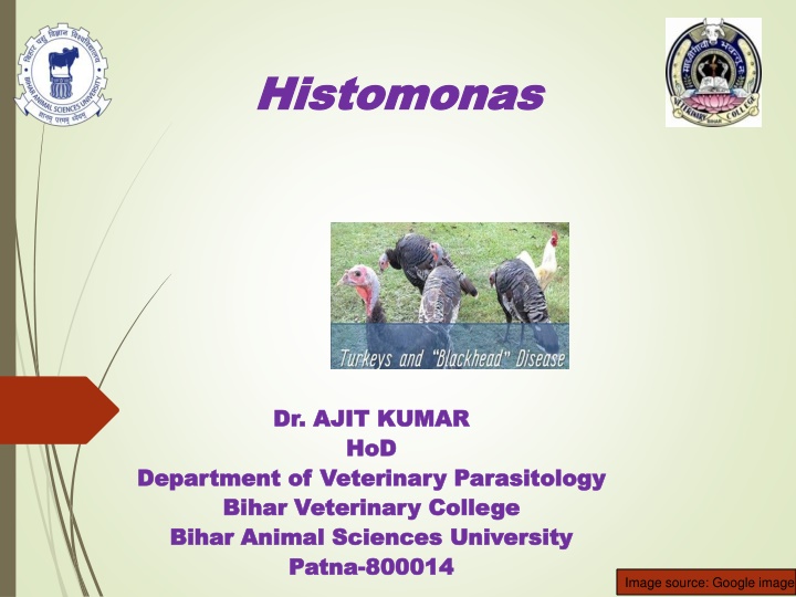 bihar animal sciences university n.w