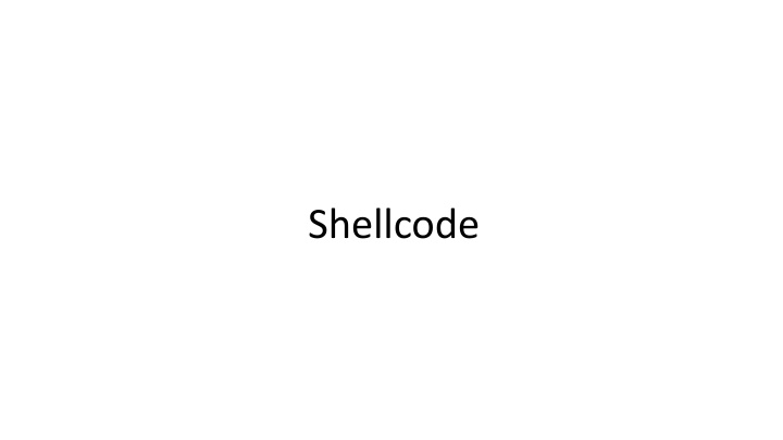 shellcode n.w
