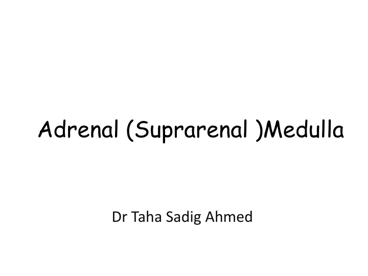 adrenal suprarenal medulla n.w
