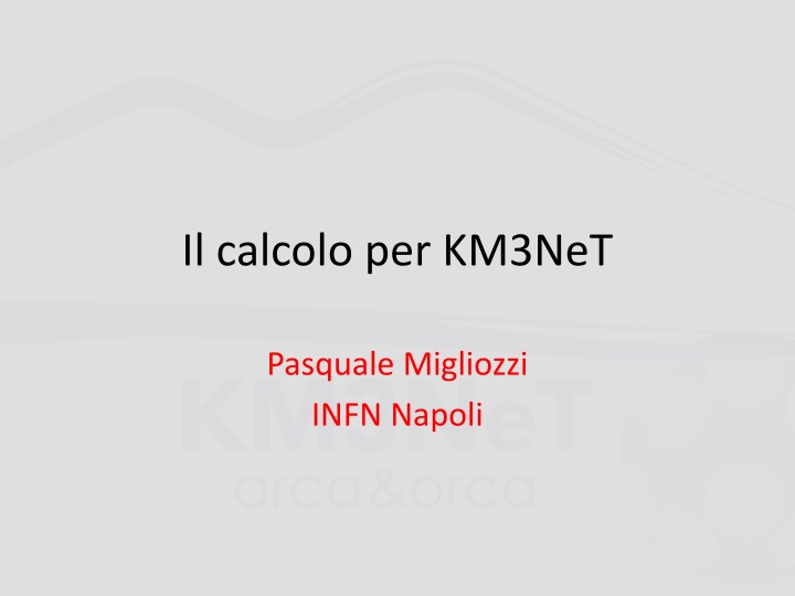 il calcolo per km3net n.w