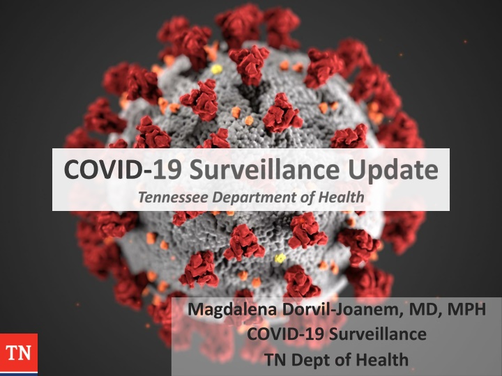 magdalena dorvil joanem md mph covid n.w