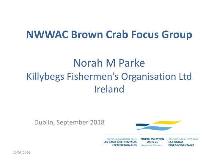 nwwac brown crab focus group n.w