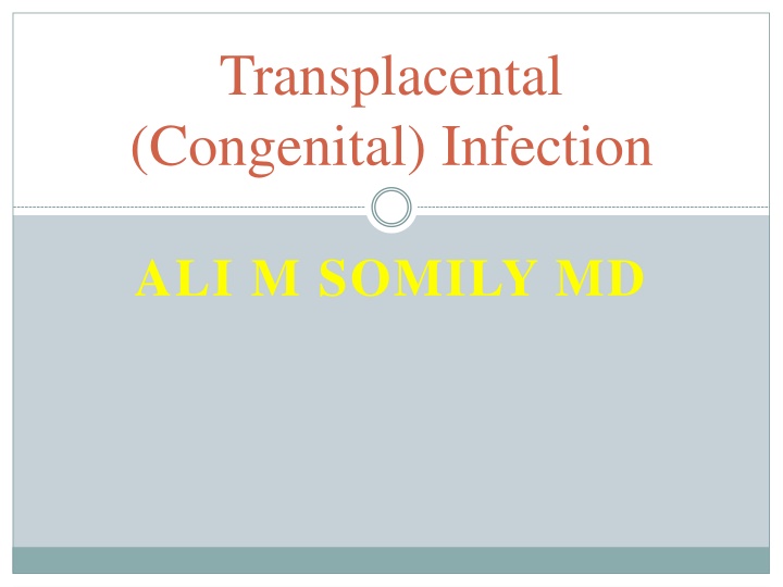 transplacental congenital infection n.w