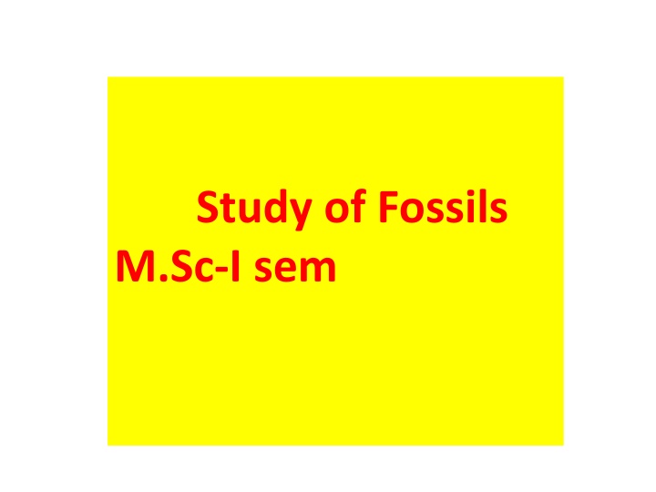 study of fossils m sc i sem n.w