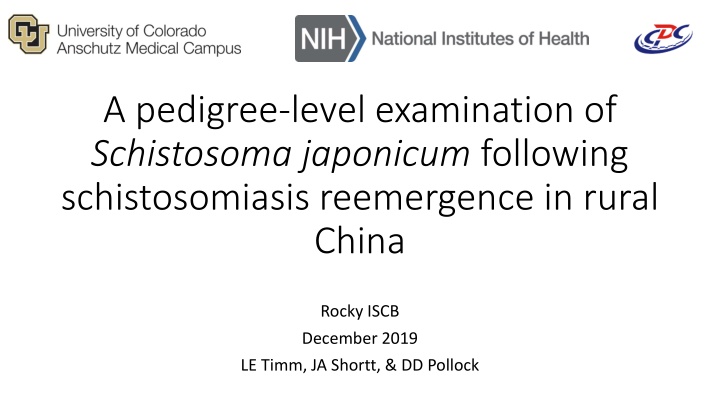 a pedigree level examination of schistosoma n.w