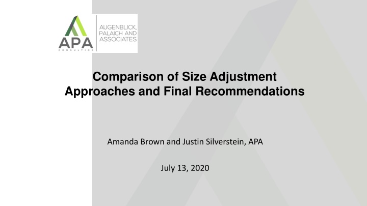 comparison of size adjustment approaches n.w