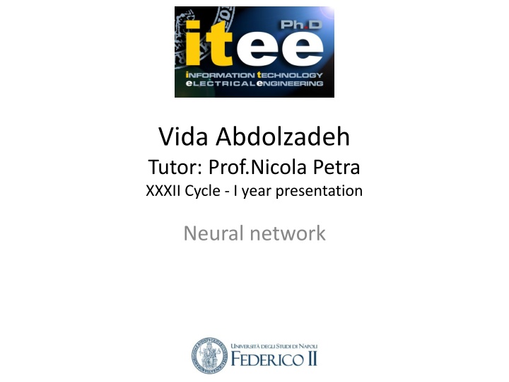vida abdolzadeh tutor prof nicola petra xxxii n.w