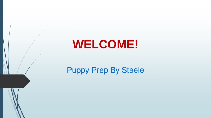Get the best Puppy Training in Old Farm