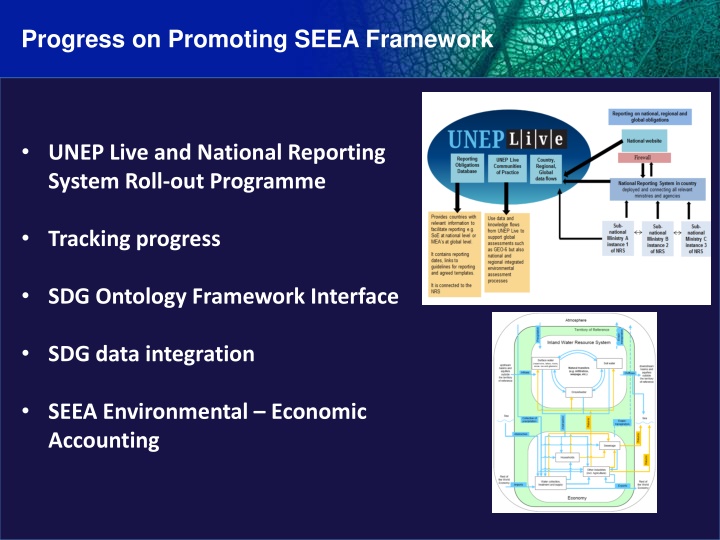 progress on promoting seea framework n.w