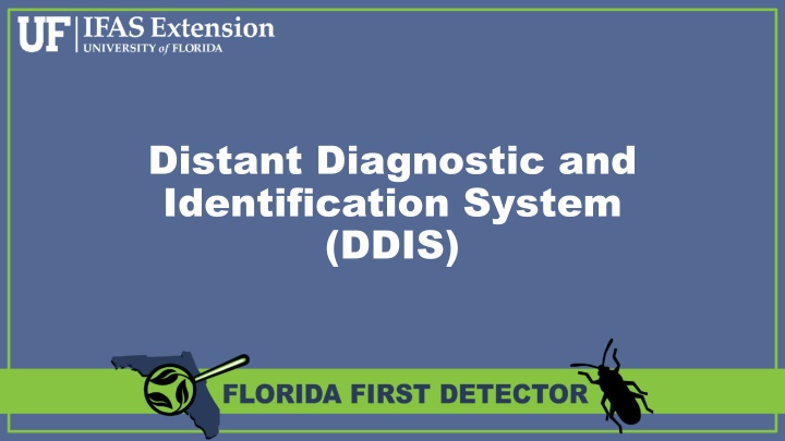 distant diagnostic and identification system ddis n.w