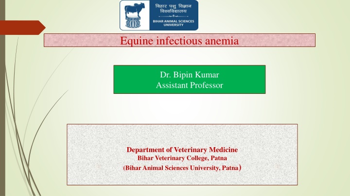 equine infectious anemia n.w
