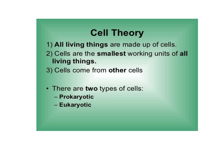 slide1 n.w