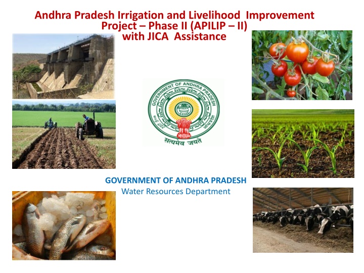 andhra pradesh irrigation and livelihood n.w