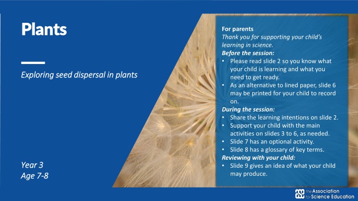 plants plants n.w