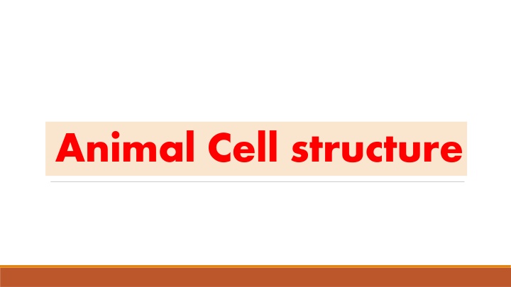 animal cell structure n.w