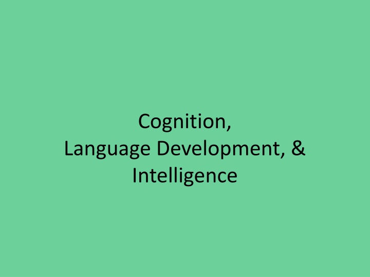 cognition n.w