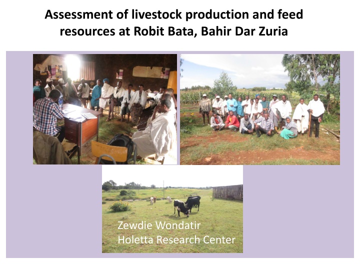 assessment of livestock production and feed n.w