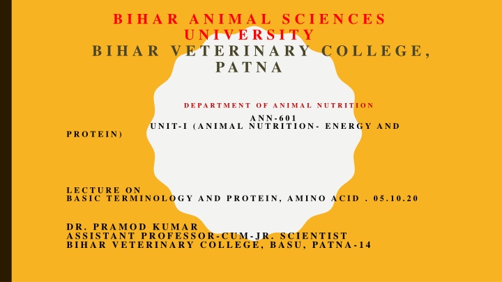Fundamentals of Proteins and Amino Acids
