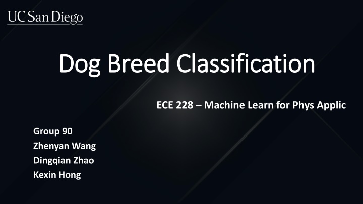 dog breed classification dog breed classification n.w