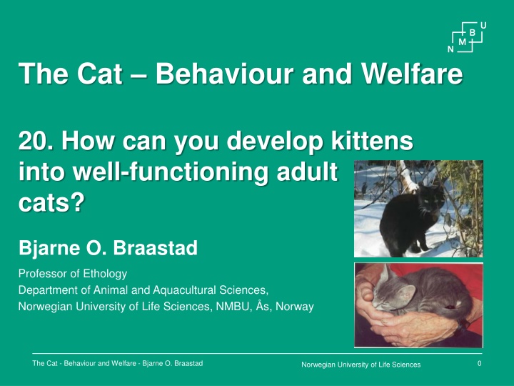 the cat behaviour and welfare n.w