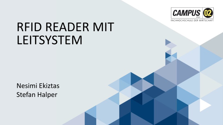 RFID Reader with Leitsystem Overview