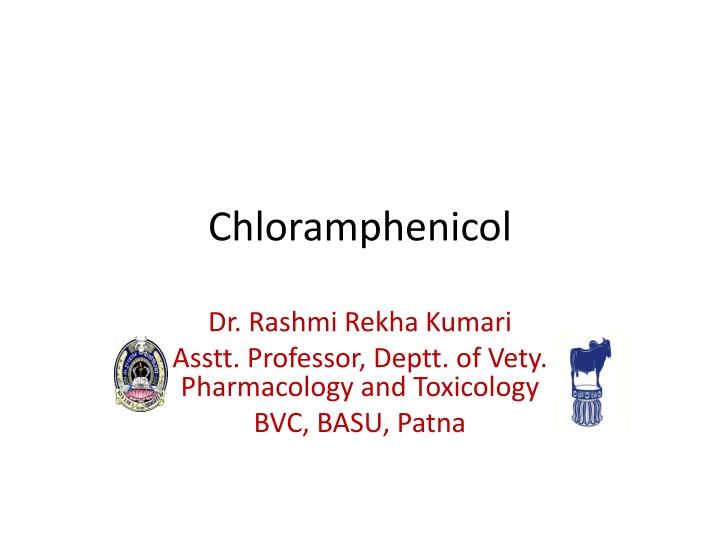 chloramphenicol n.w
