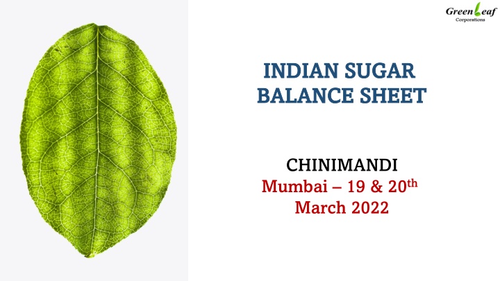 indian sugar indian sugar balance sheet balance n.w