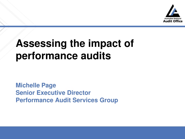 assessing the impact of performance audits n.w