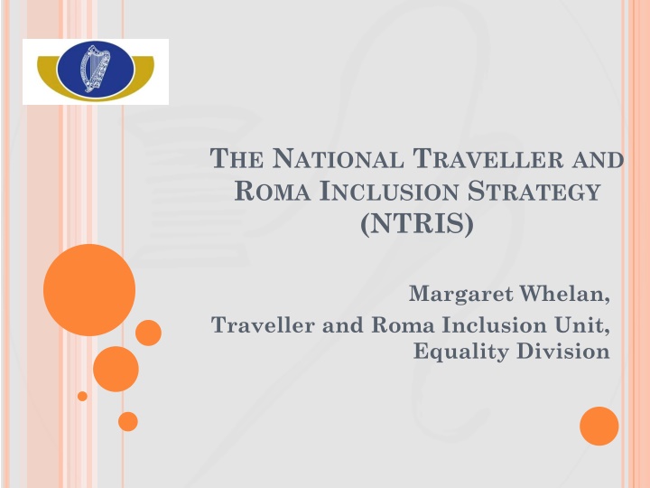 t he n ational t raveller and r oma i nclusion n.w
