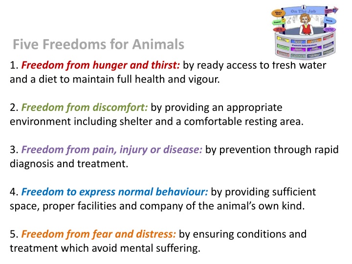 five freedoms for animals n.w