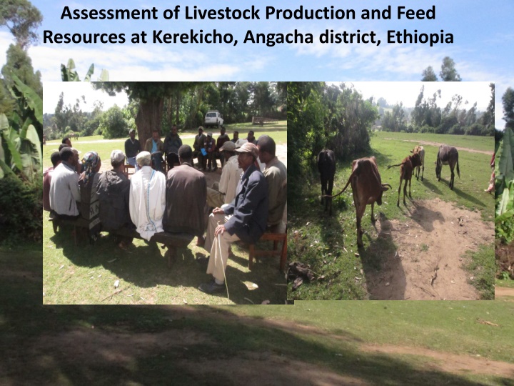 assessment of livestock production and feed n.w