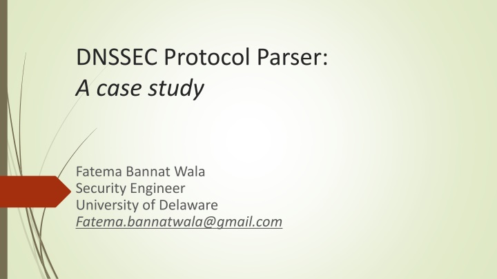 dnssec protocol parser a case study n.w