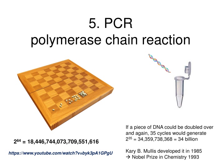 5 pcr n.w