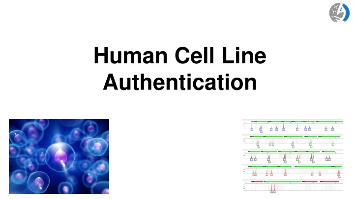 human cell line authentication n.w