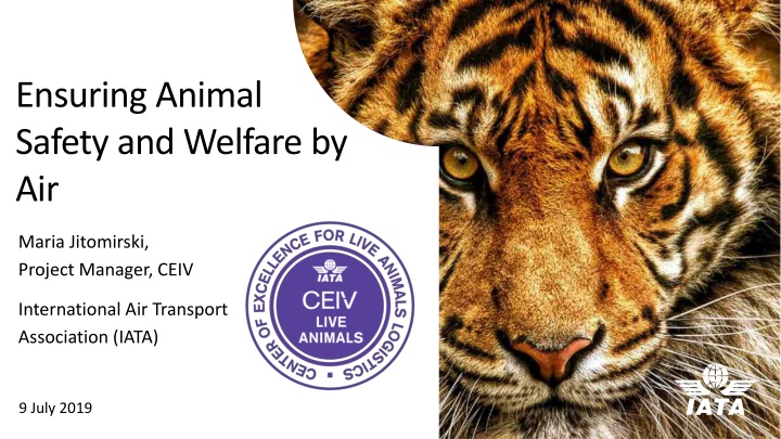 ensuring animal safety and welfare by air n.w