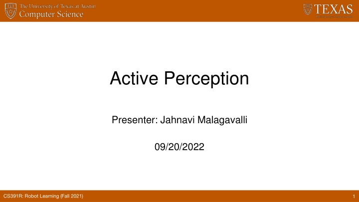 active perception n.w