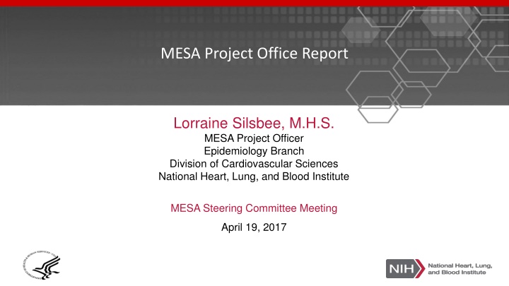 mesa project office report n.w